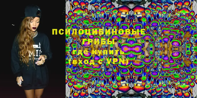 Галлюциногенные грибы Cubensis  Верхняя Тура 